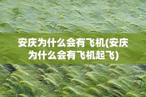 安庆为什么会有飞机(安庆为什么会有飞机起飞)