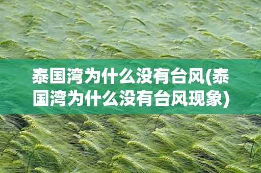 泰国湾为什么没有台风(泰国湾为什么没有台风现象)