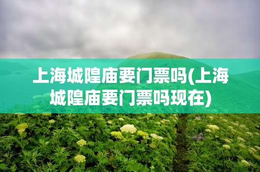 上海城隍庙要门票吗(上海城隍庙要门票吗现在)