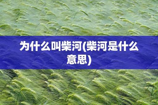 为什么叫柴河(柴河是什么意思)