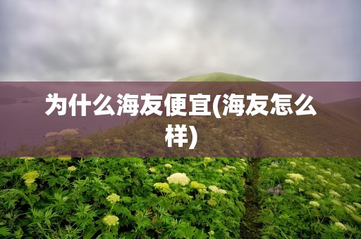 为什么海友便宜(海友怎么样)