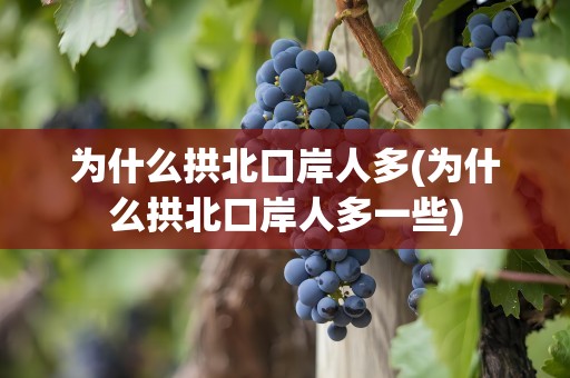 为什么拱北口岸人多(为什么拱北口岸人多一些)