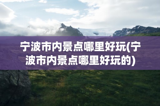 宁波市内景点哪里好玩(宁波市内景点哪里好玩的)