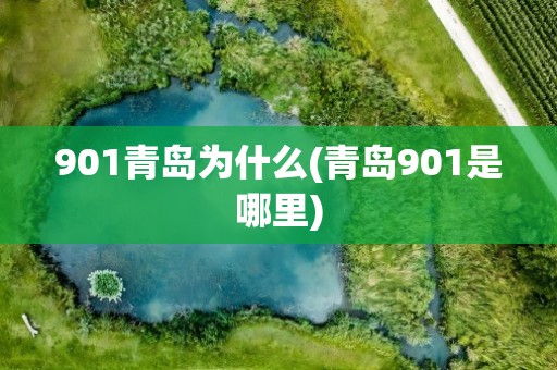 901青岛为什么(青岛901是哪里)