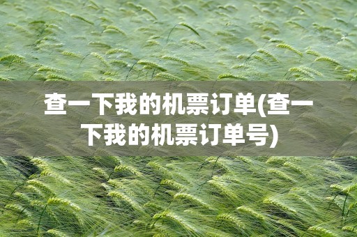 查一下我的机票订单(查一下我的机票订单号)