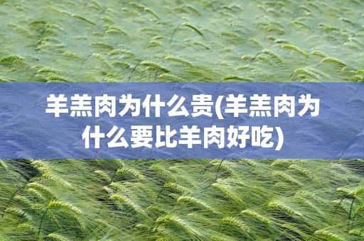 羊羔肉为什么贵(羊羔肉为什么要比羊肉好吃)