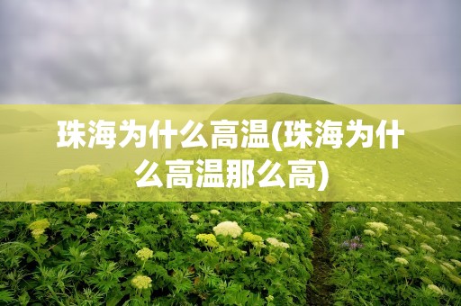珠海为什么高温(珠海为什么高温那么高)