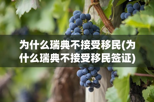 为什么瑞典不接受移民(为什么瑞典不接受移民签证)