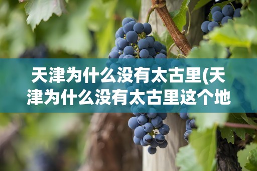 天津为什么没有太古里(天津为什么没有太古里这个地方)