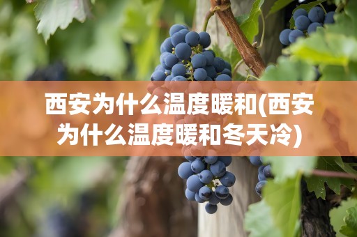 西安为什么温度暖和(西安为什么温度暖和冬天冷)