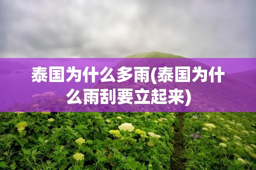 泰国为什么多雨(泰国为什么雨刮要立起来)
