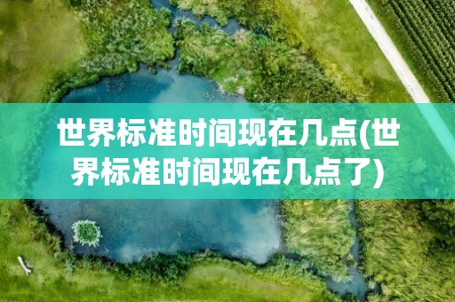 世界标准时间现在几点(世界标准时间现在几点了)