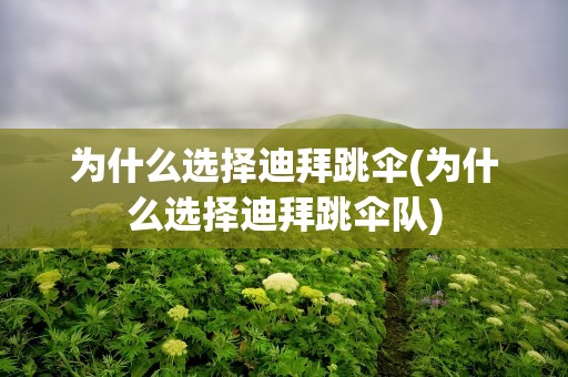 为什么选择迪拜跳伞(为什么选择迪拜跳伞队)