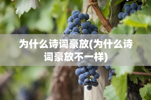 为什么诗词豪放(为什么诗词豪放不一样)