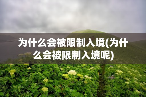 为什么会被限制入境(为什么会被限制入境呢)