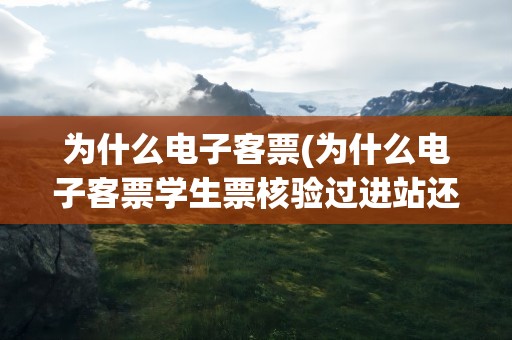 为什么电子客票(为什么电子客票学生票核验过进站还不通过)