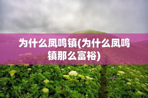 为什么凤鸣镇(为什么凤鸣镇那么富裕)