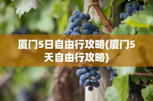 厦门5日自由行攻略(厦门5天自由行攻略)