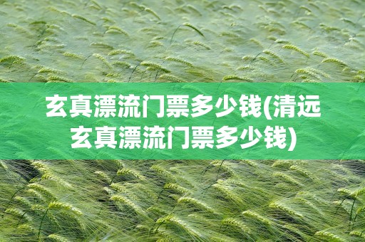 玄真漂流门票多少钱(清远玄真漂流门票多少钱)