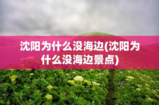 沈阳为什么没海边(沈阳为什么没海边景点)
