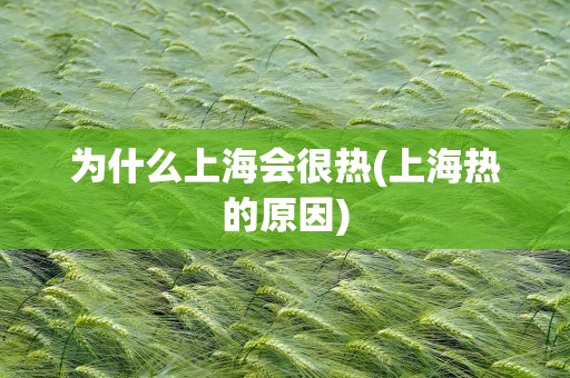 为什么上海会很热(上海热的原因)