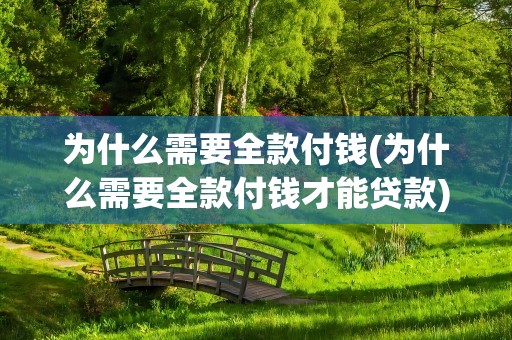 为什么需要全款付钱(为什么需要全款付钱才能贷款)
