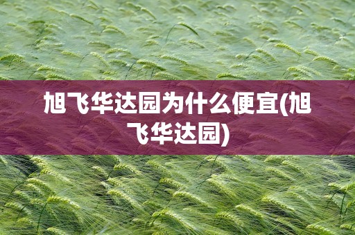旭飞华达园为什么便宜(旭飞华达园)