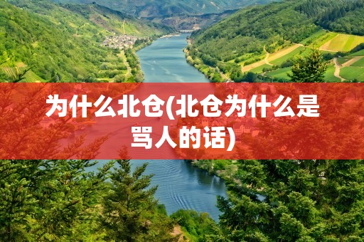 为什么北仓(北仓为什么是骂人的话)