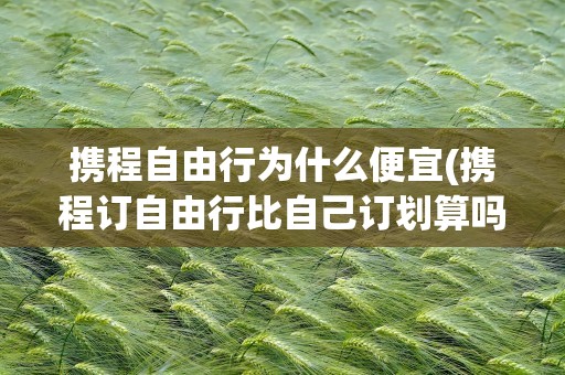 携程自由行为什么便宜(携程订自由行比自己订划算吗)