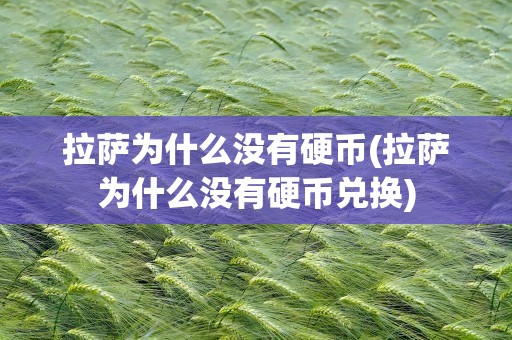 拉萨为什么没有硬币(拉萨为什么没有硬币兑换)