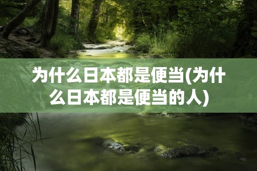 为什么日本都是便当(为什么日本都是便当的人)