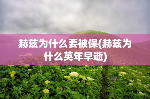 赫兹为什么要被保(赫兹为什么英年早逝)