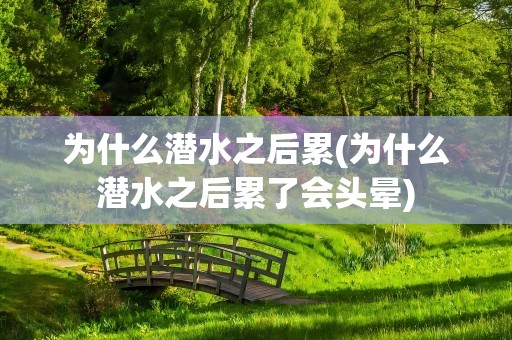 为什么潜水之后累(为什么潜水之后累了会头晕)