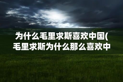 为什么毛里求斯喜欢中国(毛里求斯为什么那么喜欢中国人)