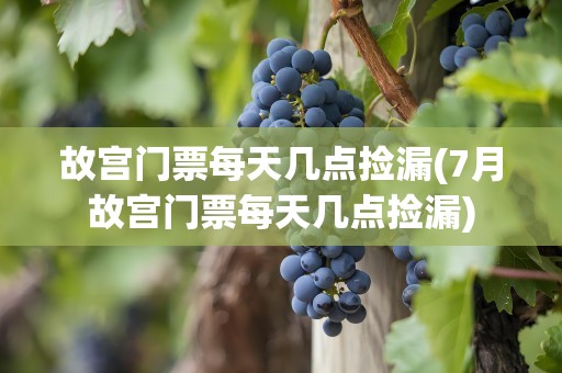 故宫门票每天几点捡漏(7月故宫门票每天几点捡漏)