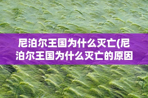 尼泊尔王国为什么灭亡(尼泊尔王国为什么灭亡的原因)
