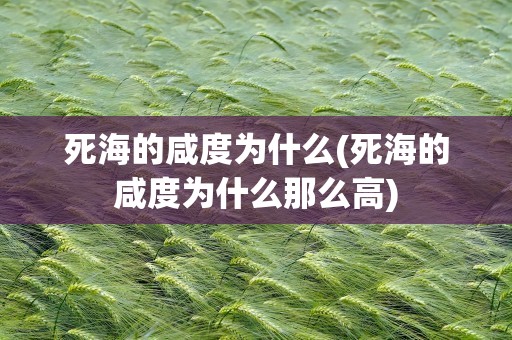 死海的咸度为什么(死海的咸度为什么那么高)