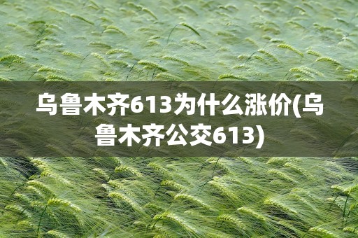 乌鲁木齐613为什么涨价(乌鲁木齐公交613)