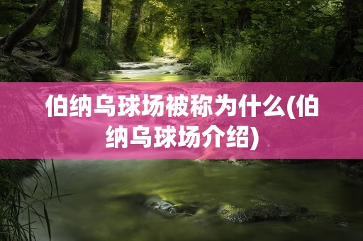 伯纳乌球场被称为什么(伯纳乌球场介绍)