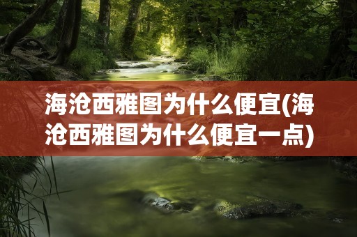 海沧西雅图为什么便宜(海沧西雅图为什么便宜一点)