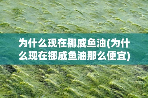 为什么现在挪威鱼油(为什么现在挪威鱼油那么便宜)