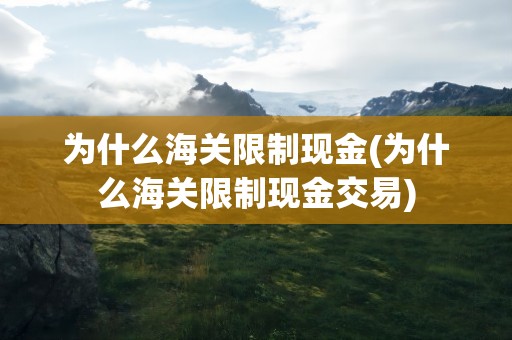 为什么海关限制现金(为什么海关限制现金交易)