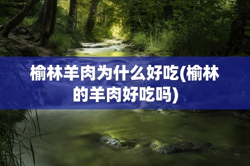 榆林羊肉为什么好吃(榆林的羊肉好吃吗)