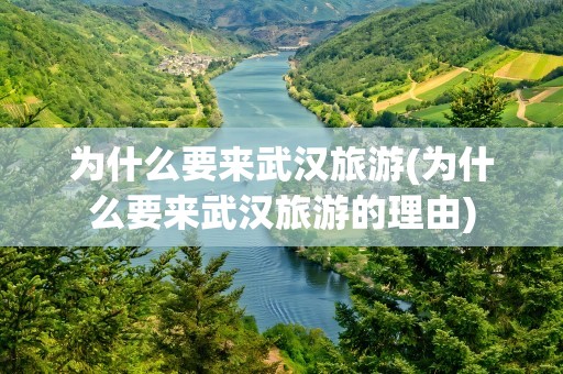 为什么要来武汉旅游(为什么要来武汉旅游的理由)
