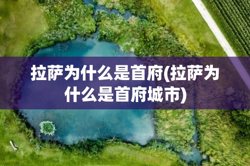 拉萨为什么是首府(拉萨为什么是首府城市)