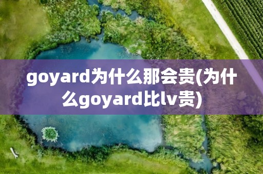 goyard为什么那会贵(为什么goyard比lv贵)