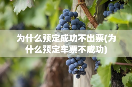 为什么预定成功不出票(为什么预定车票不成功)