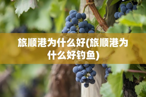 旅顺港为什么好(旅顺港为什么好钓鱼)