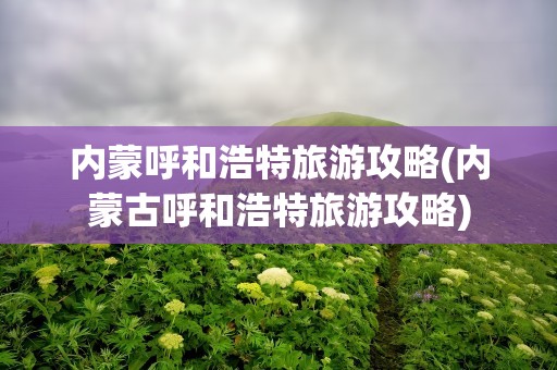 内蒙呼和浩特旅游攻略(内蒙古呼和浩特旅游攻略)