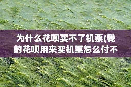 为什么花呗买不了机票(我的花呗用来买机票怎么付不了款呀)